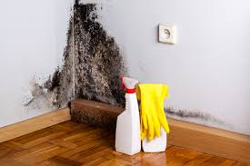 Mold Remediation for Rental Properties in Portland, TN